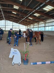 Lire la suite à propos de l’article Le cheval pour tous