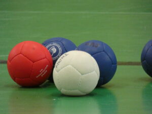 Lire la suite à propos de l’article CHAMPIONNAT REGIONAL DE BOCCIA